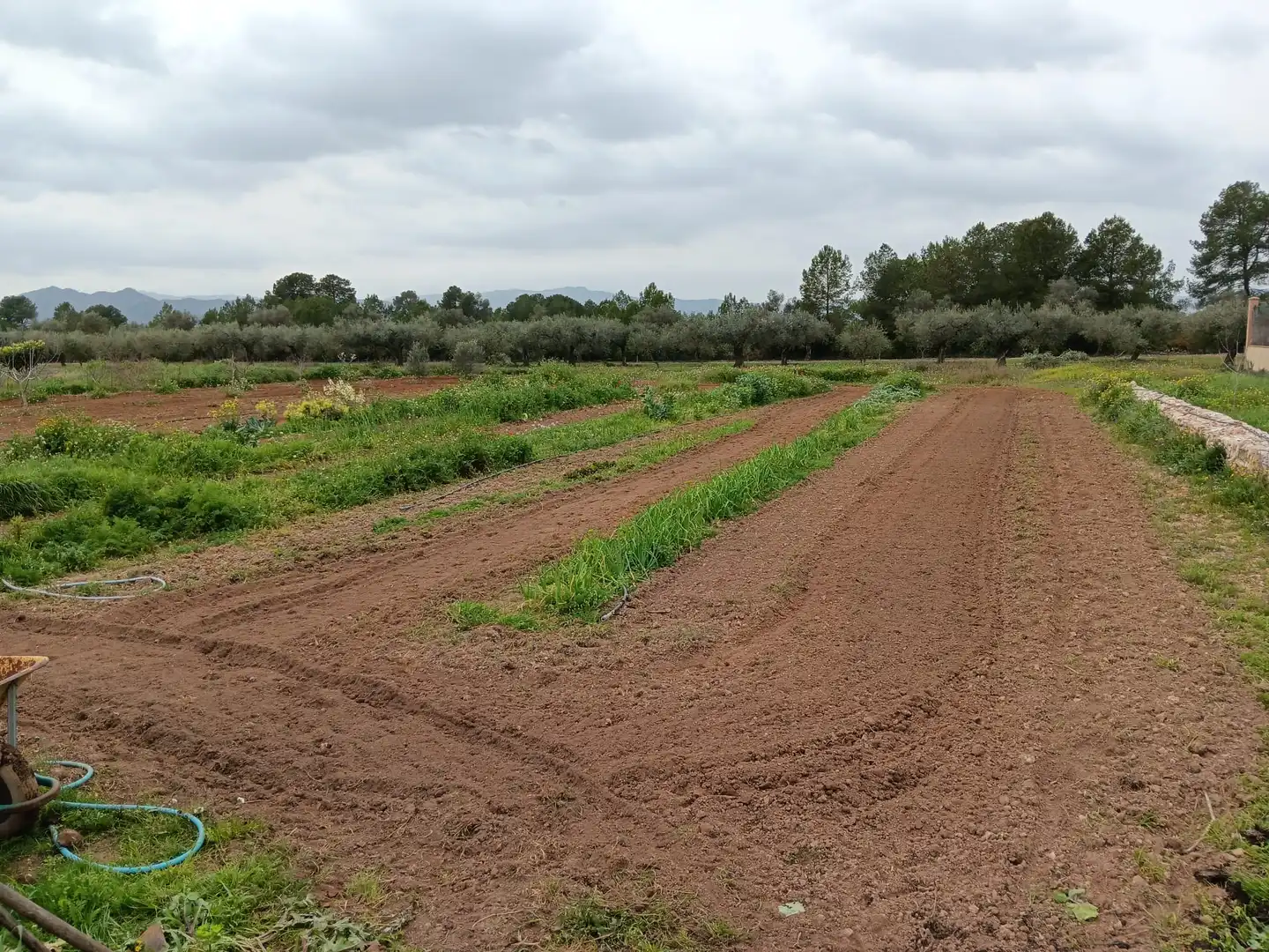 Nave industrial en venta en Ginestar