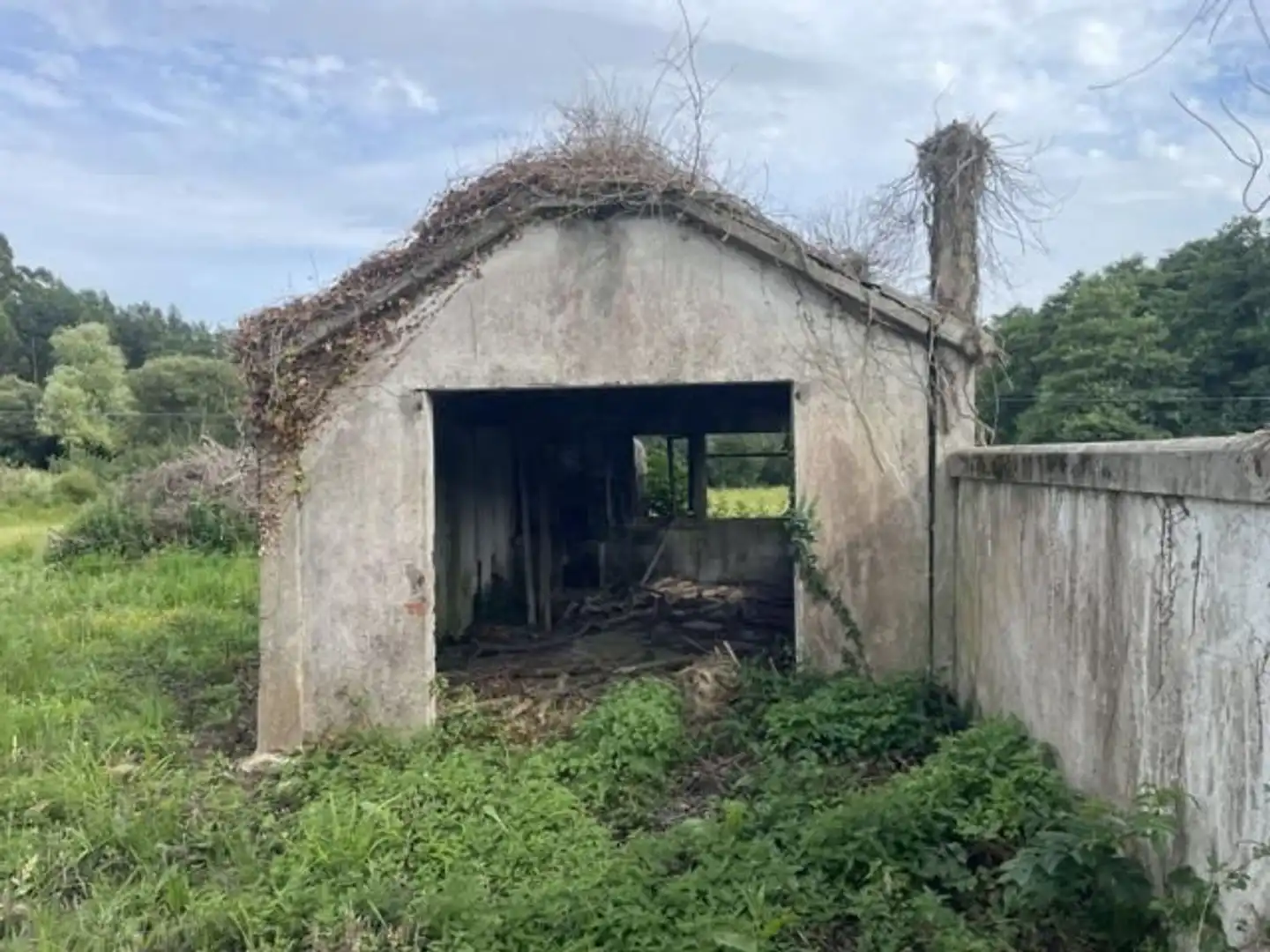Vista exterior de Casa o xalet en venda en Cariño amb Jardí privat