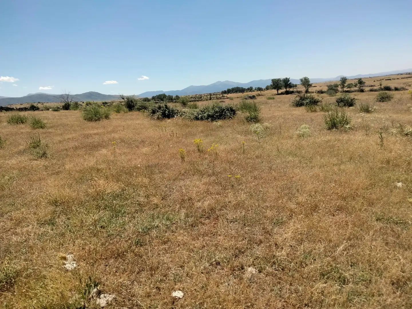 Terreno rustico in vendita a Basardilla, imagen 11