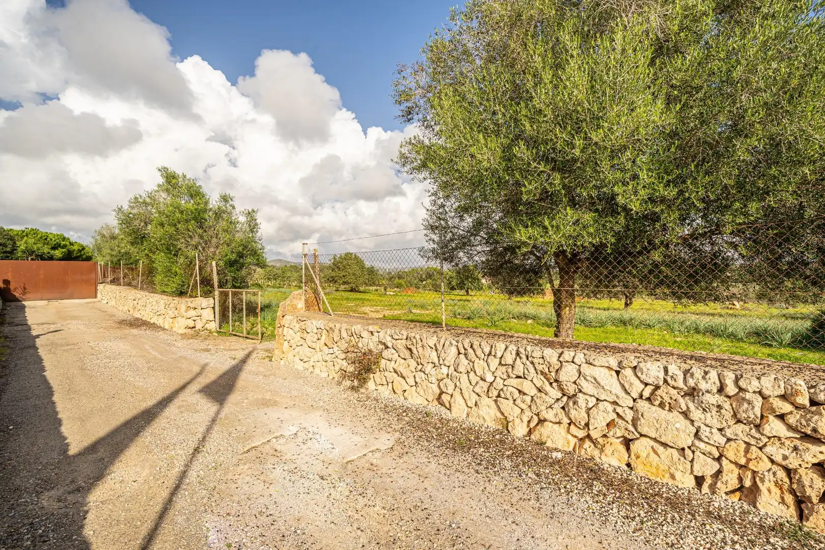 Rural land for sale in Sant Llorenç des Cardassar, imagen 15