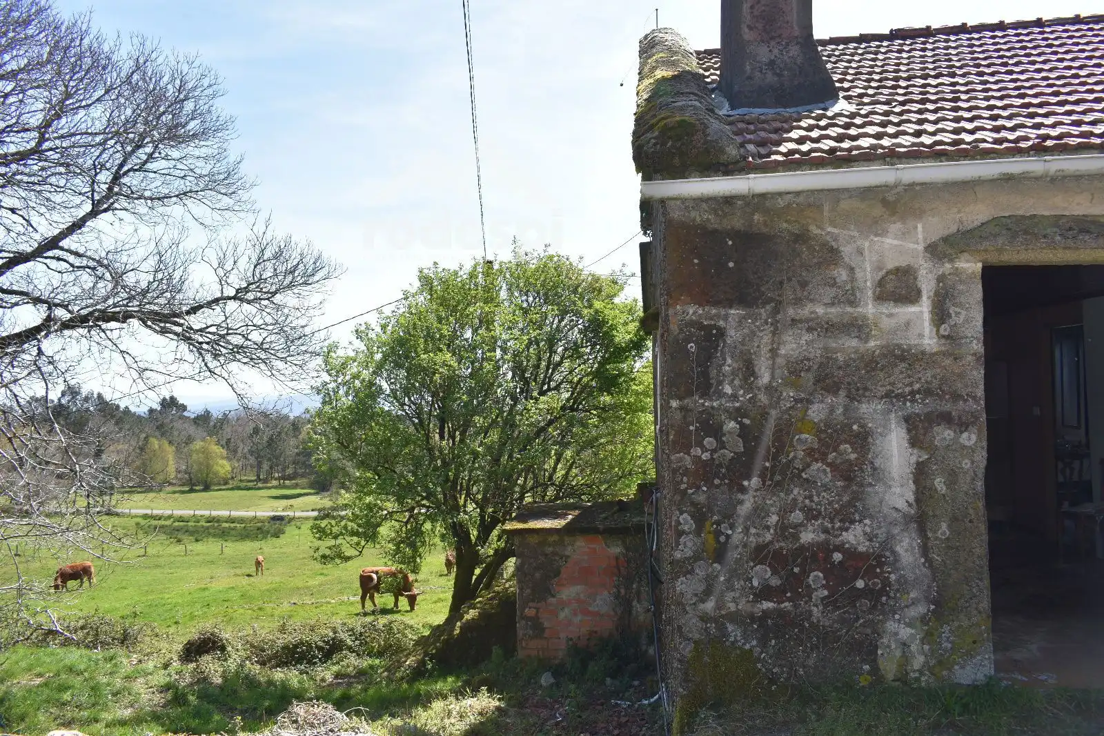 Vista exterior de Casa o xalet en venda en A Cañiza   amb Traster