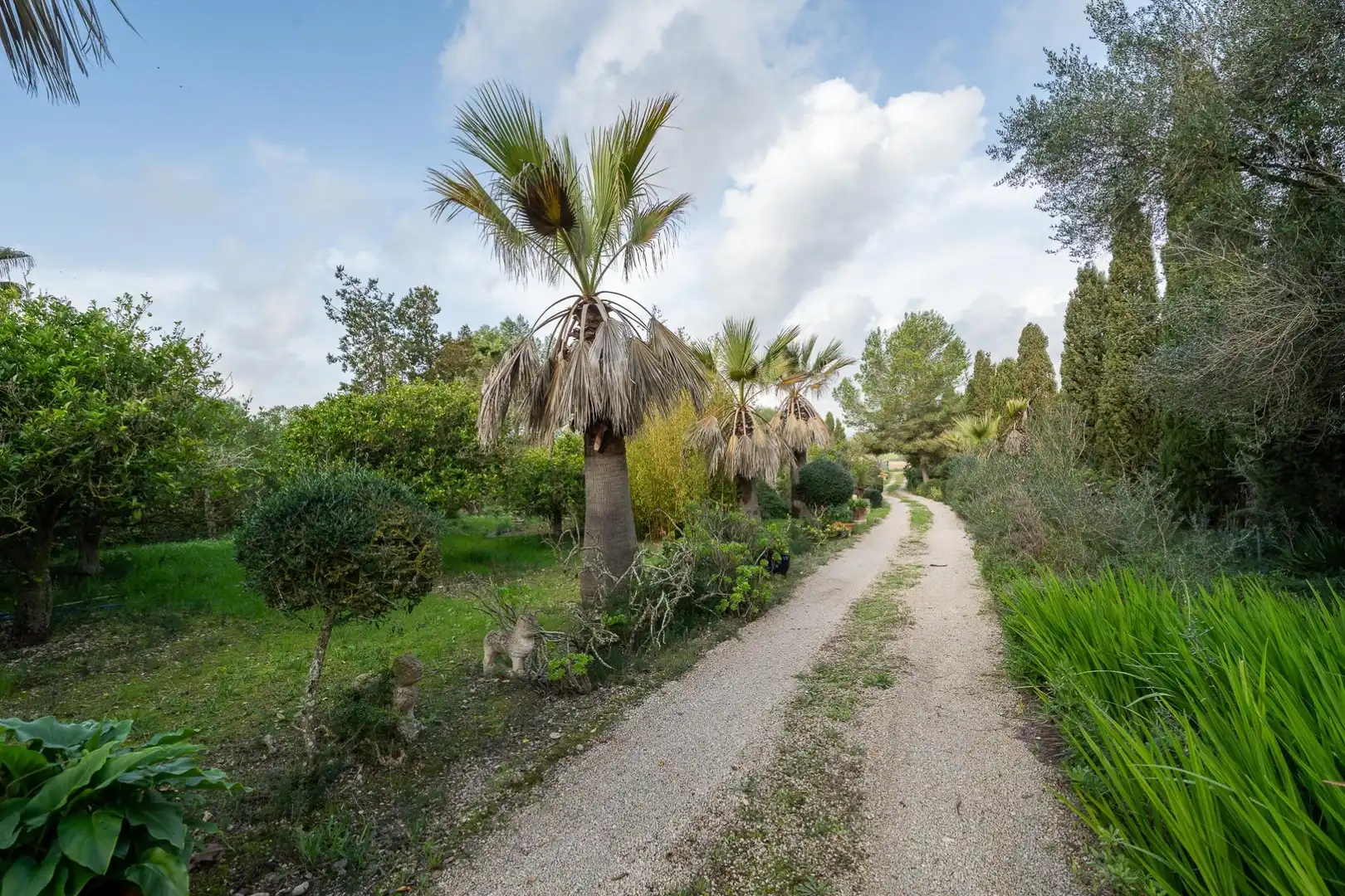 Casa rustica con piscina in vendita a Algaida, imagen 50