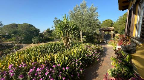 Photo 4 of House or chalet for sale in Dehesa - Monacilla, Aljaraque