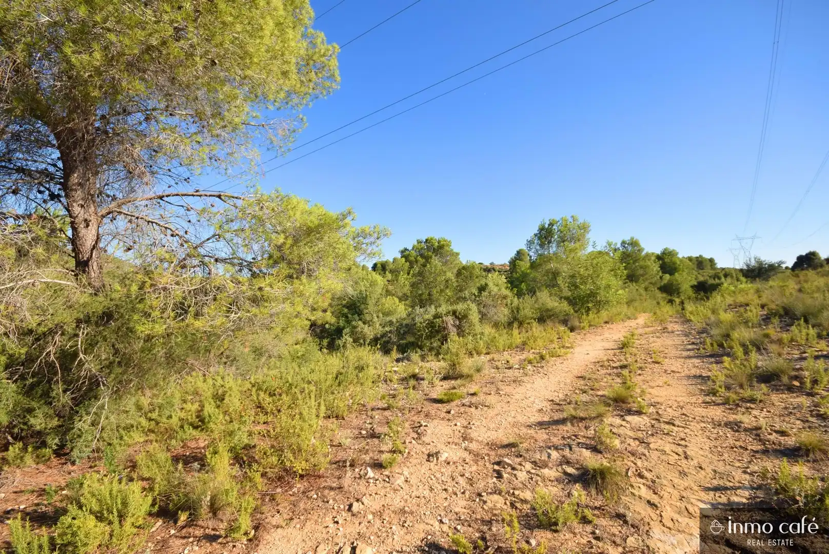 Terreny rústic en venda a L'Alcúdia de Crespins, imagen 24