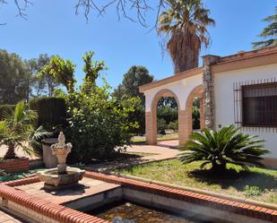 Jardí de Casa o xalet de lloguer en Olocau amb Aire condicionat, Terrassa i Piscina