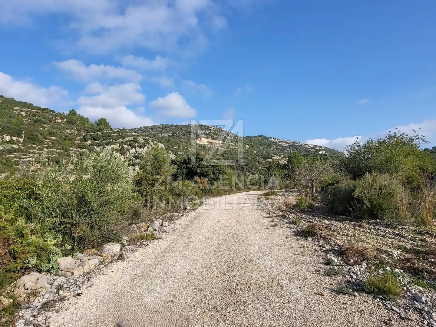 Rural land for sale in Cervera del Maestre, imagen 14
