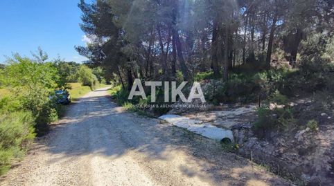FINCA RUSTICA PARA REHABILITAR, imatge 2