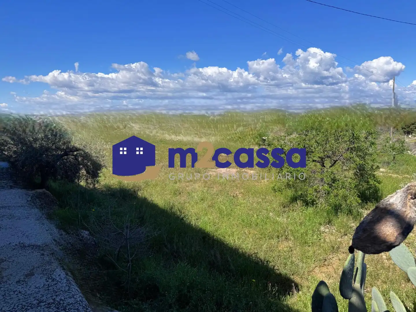 Casa in vendita a Pedanías Centro, imagen 14