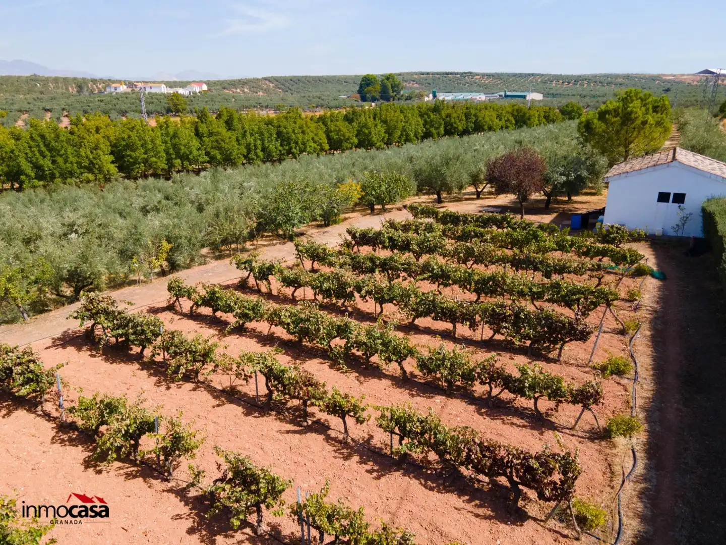 Chalet con piscina en venta en Moraleda de Zafayona, imagen 85