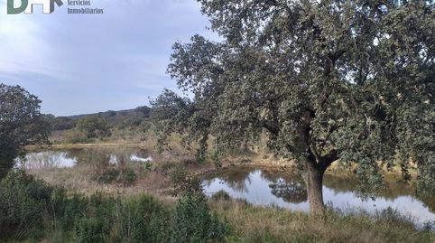 MéridaTerreno, immagine 4