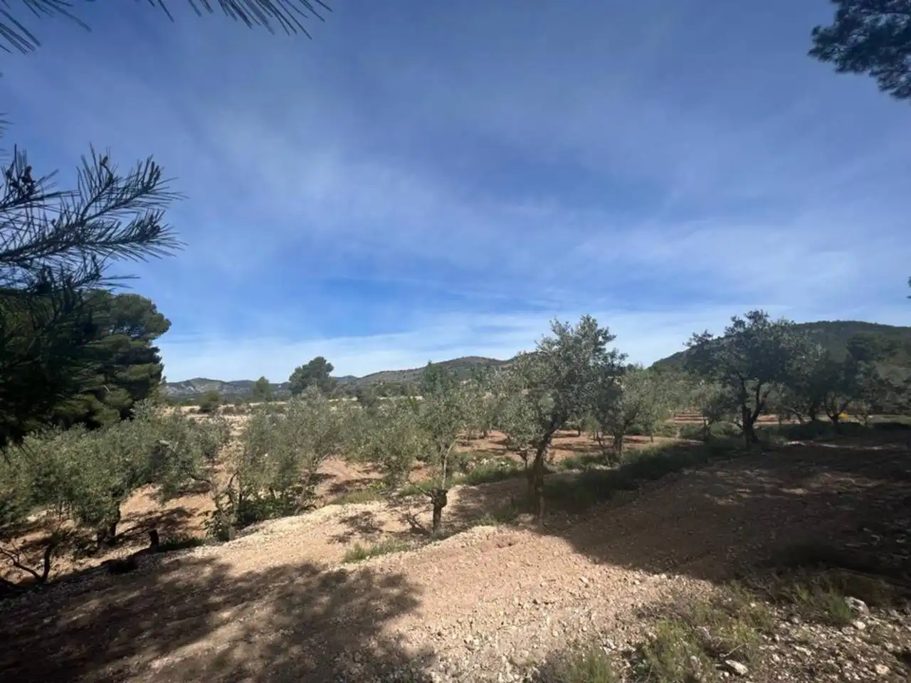 Chalet con jardín en venta en Calle Poligono, imagen 133