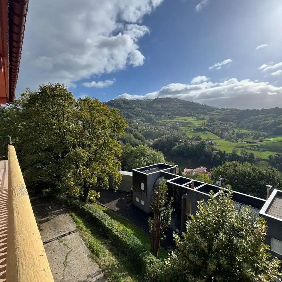Vista exterior de Piso en venta en Ibarra, Gipuzkoa
