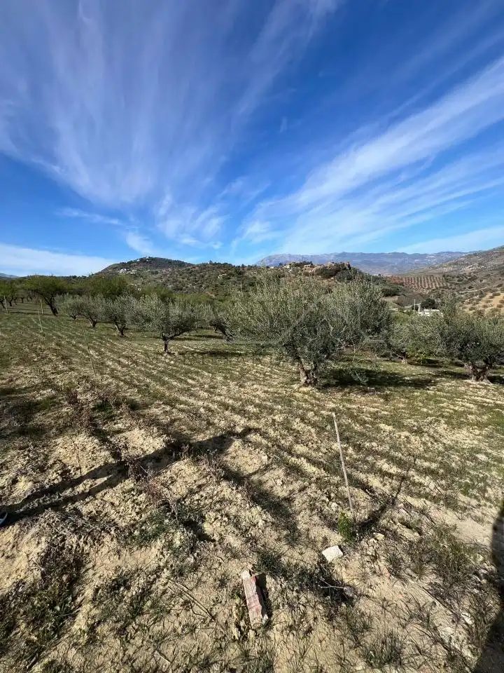 Terreno rustico in vendita a Guaro, imagen 10