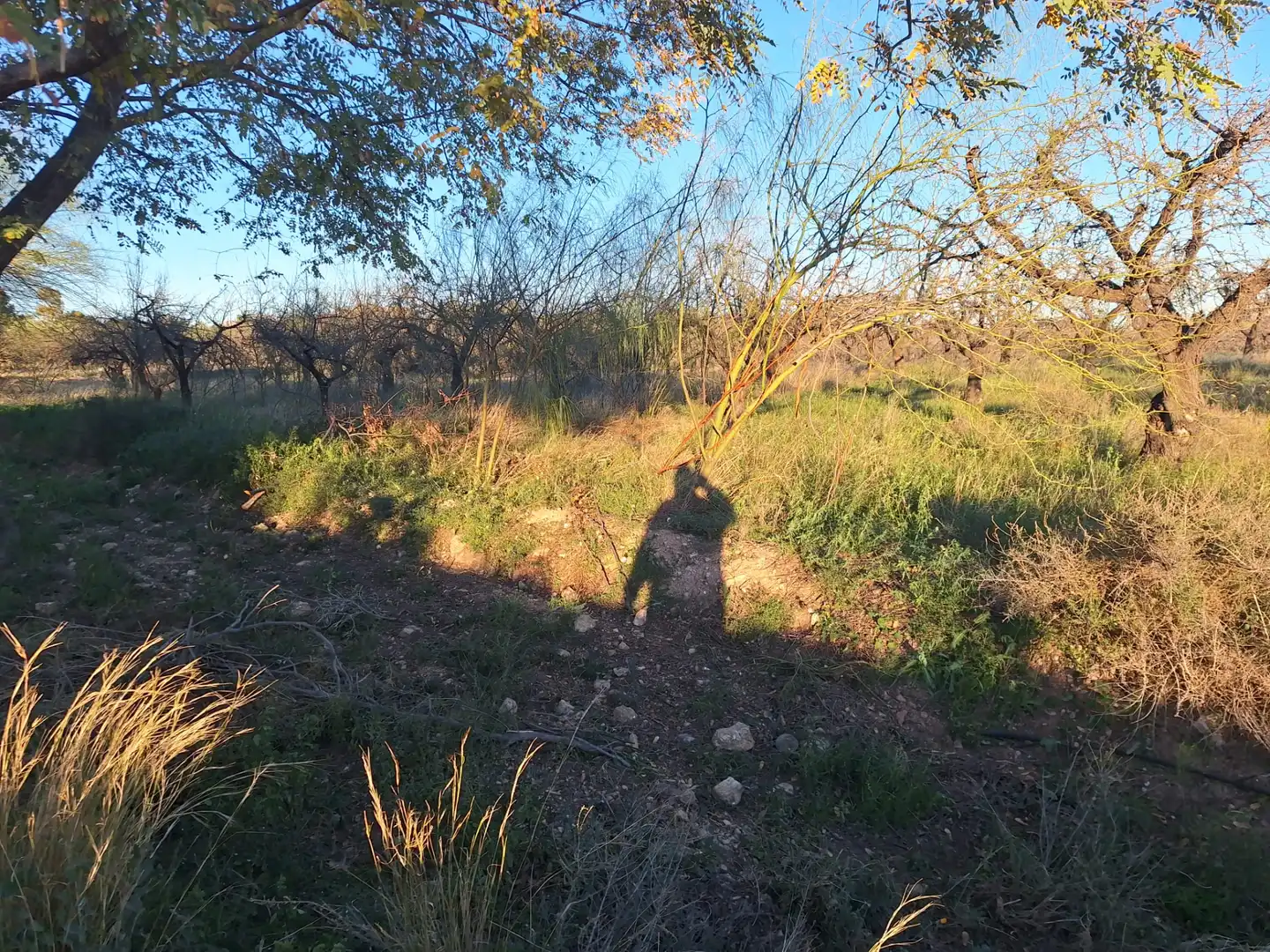 Terreny en venda en San Vicente del Raspeig / Sant Vicent del Raspeig