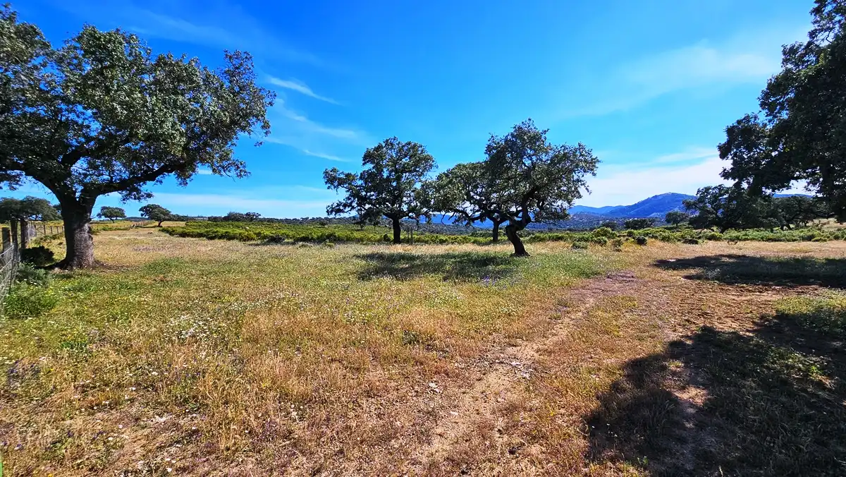 Country homes for sale in Zufre  with Private garden