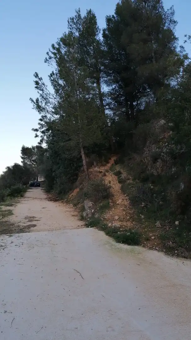 Rural land for sale in Vilallonga / Villalonga