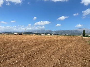 Wohnbaugrundstück zum Verkauf in Camí Gran de son Amer 15