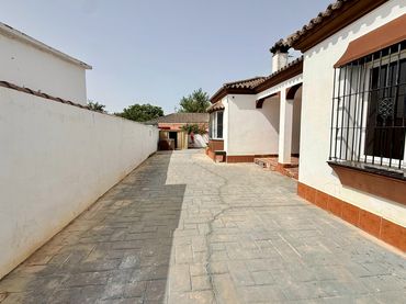 Xalet amb jardí en venda a Calle Navarrete