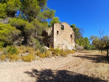 Terreny rústic en venda a Arnes
