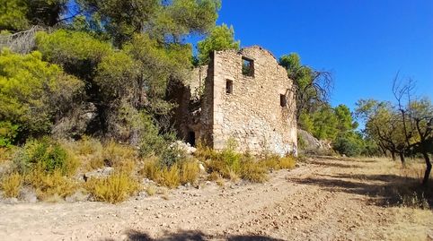 Finca rústica con maset en Arnes