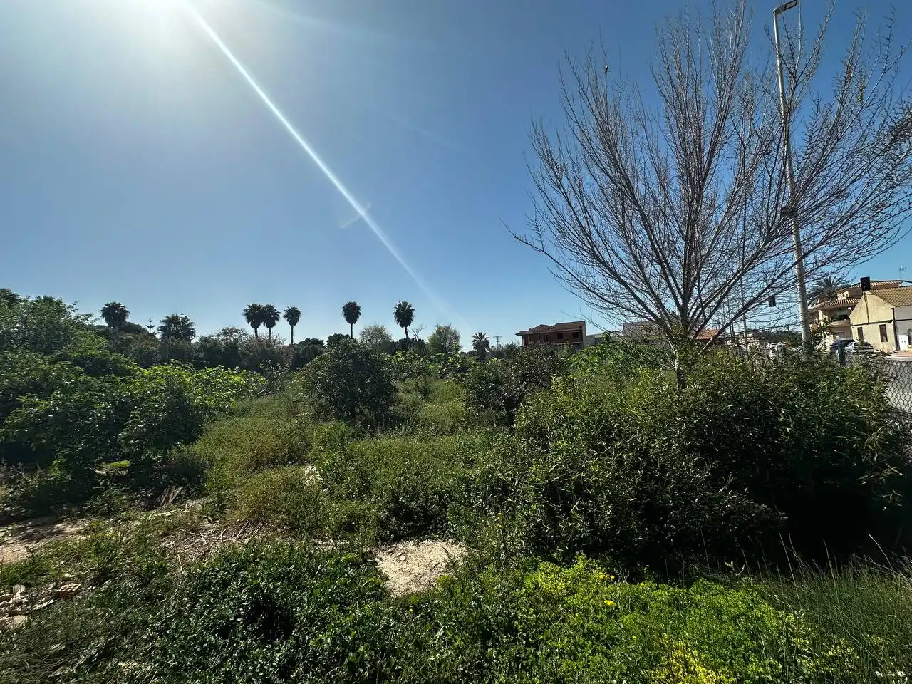 Terreny residencial en venda a Avenida de Almoradí 11, imagen 7