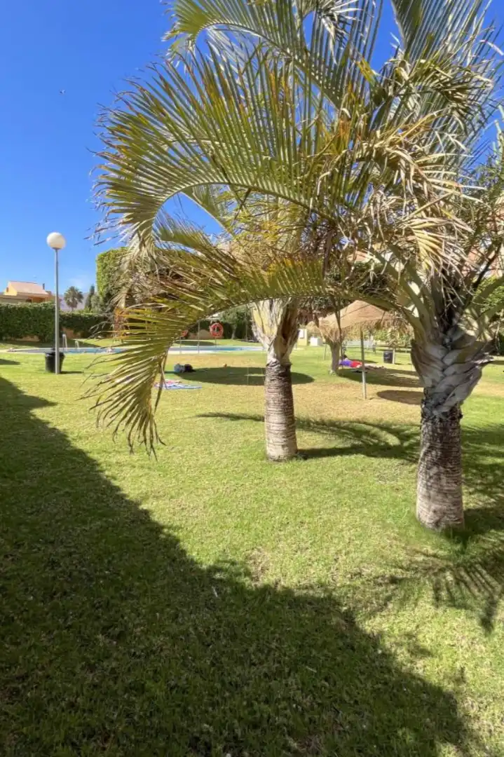 Jardí de Pis en venda en Roquetas de Mar amb Aire condicionat, Calefacció i Moblat