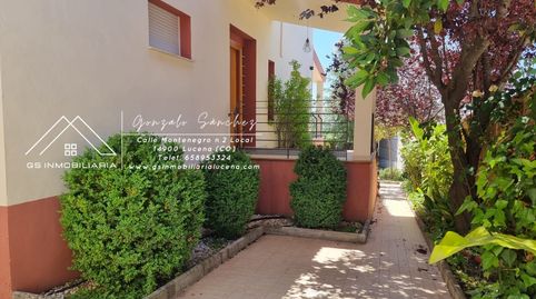 Foto 3 von Country house zur Miete in Las Vegas - Campoaras, Lucena