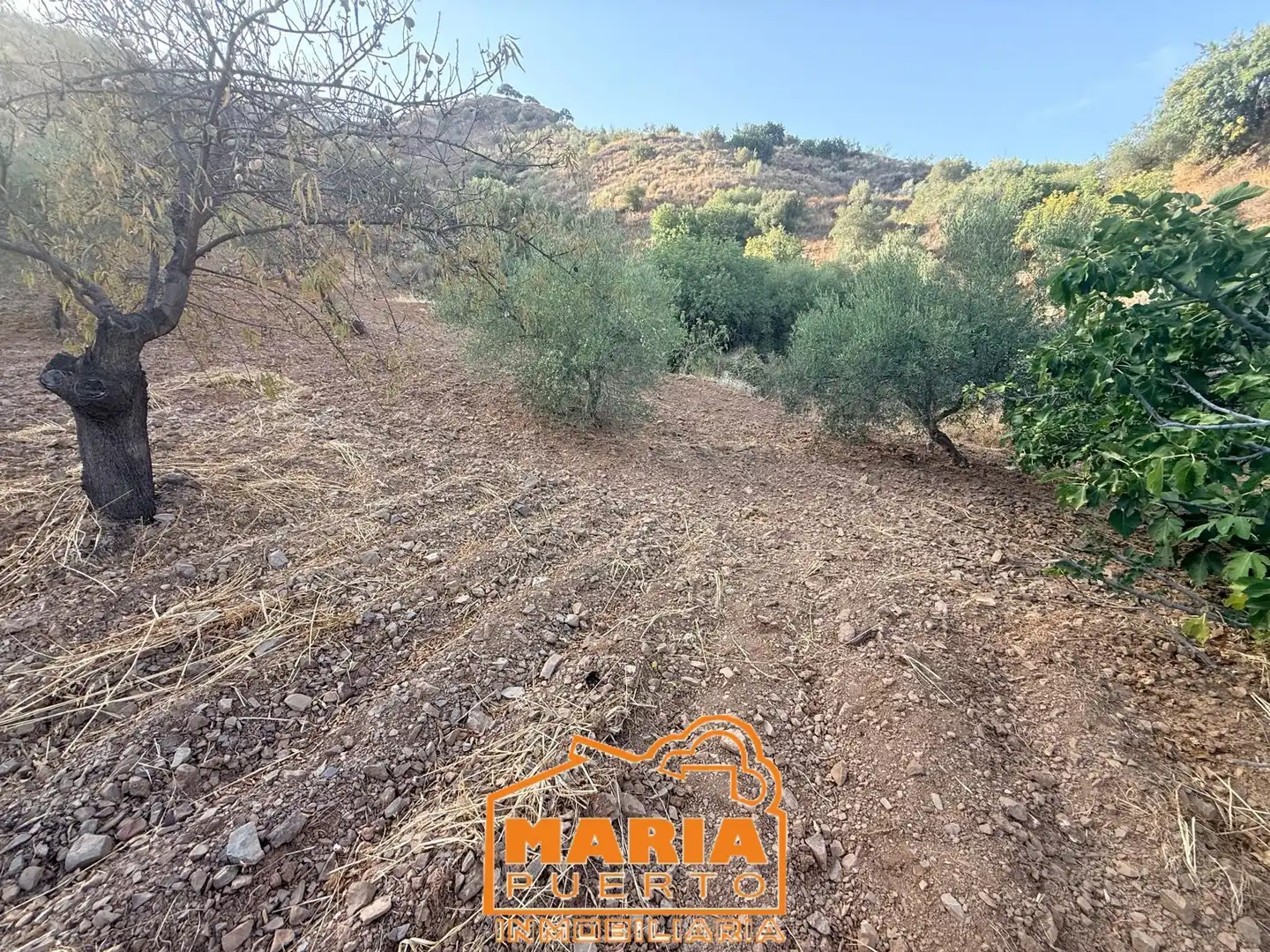 Terreno rustico in vendita a Almogía, imagen 11