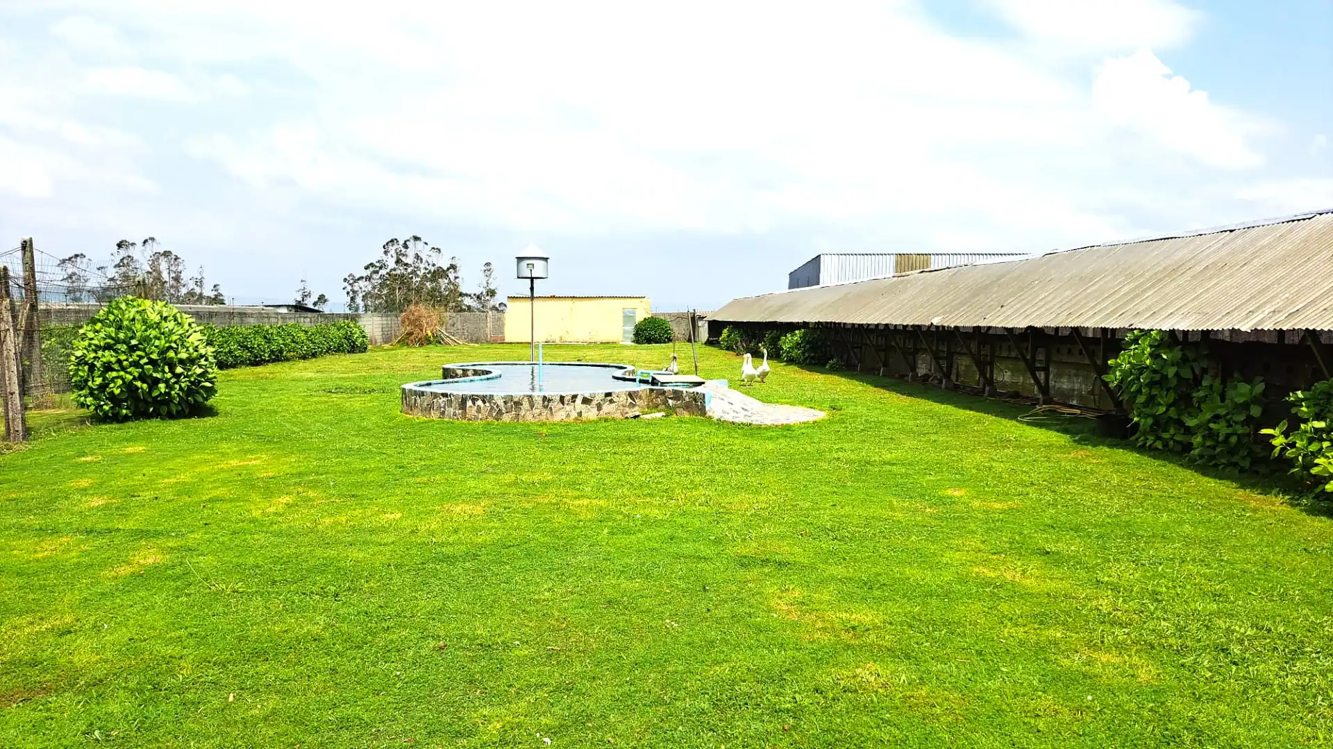 Casa o chalet en venta en Rúa Lince, Carral