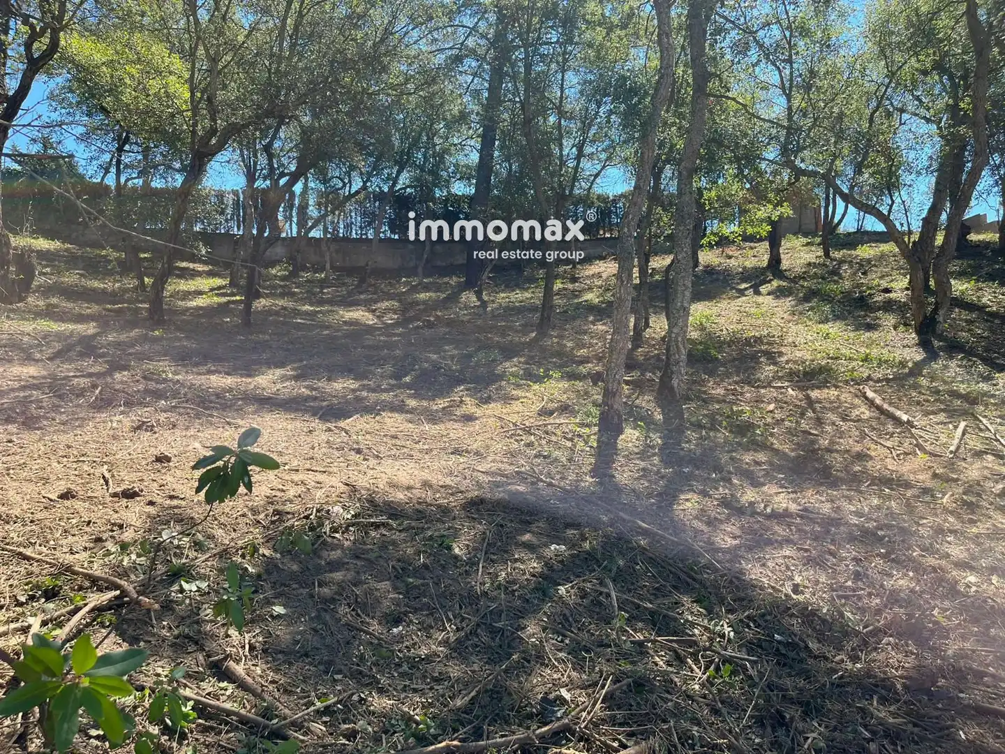 Rural land for sale in Begonia, imagen 3