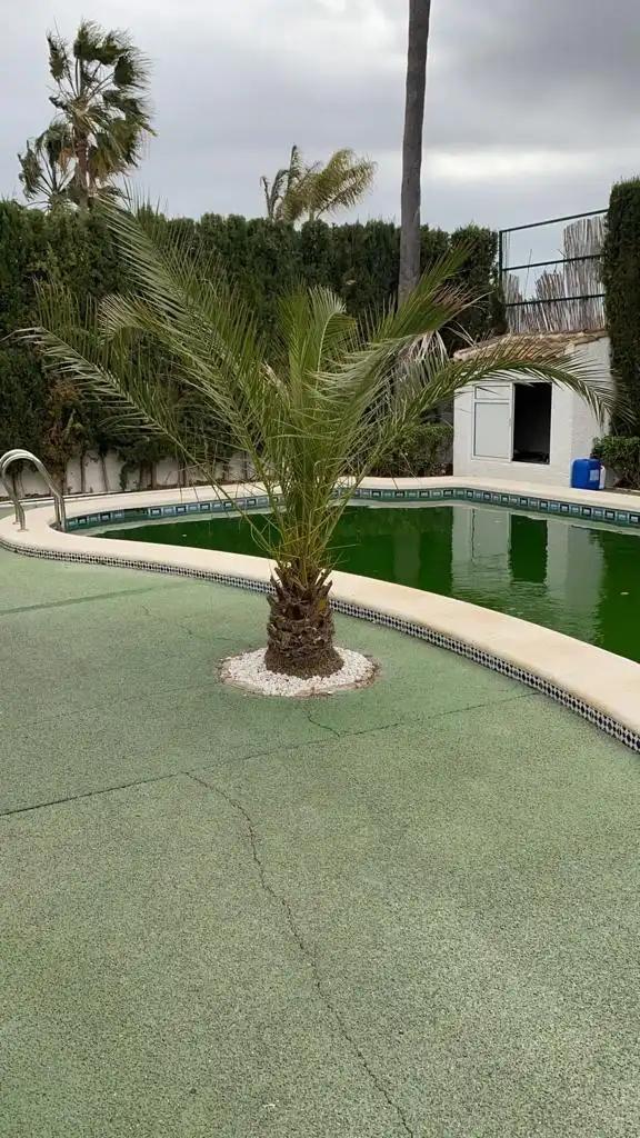 Piscina de Casa o xalet en venda en Rojales amb Jardí privat i Piscina