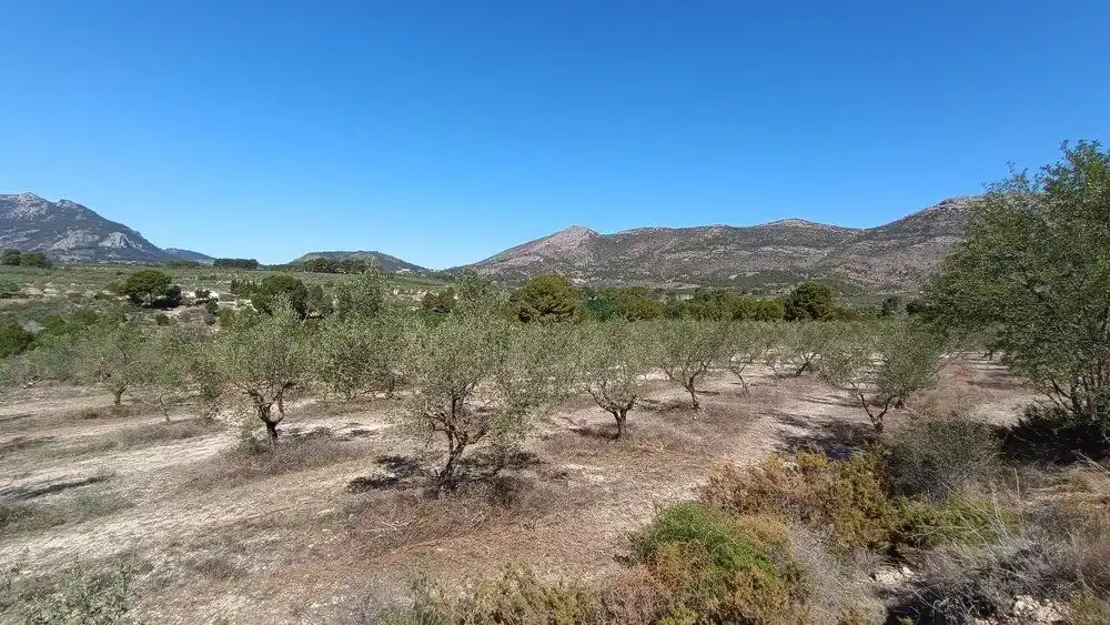 Residencial en venta en Gaianes