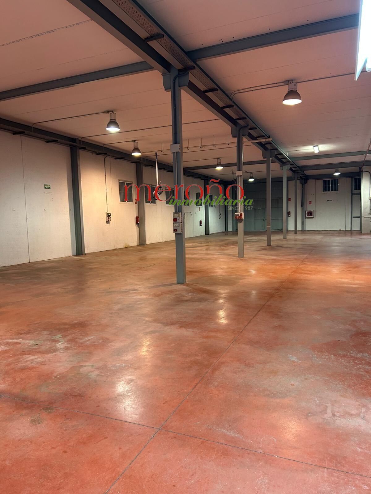 Nau industrial de lloguer en Elche / Elx