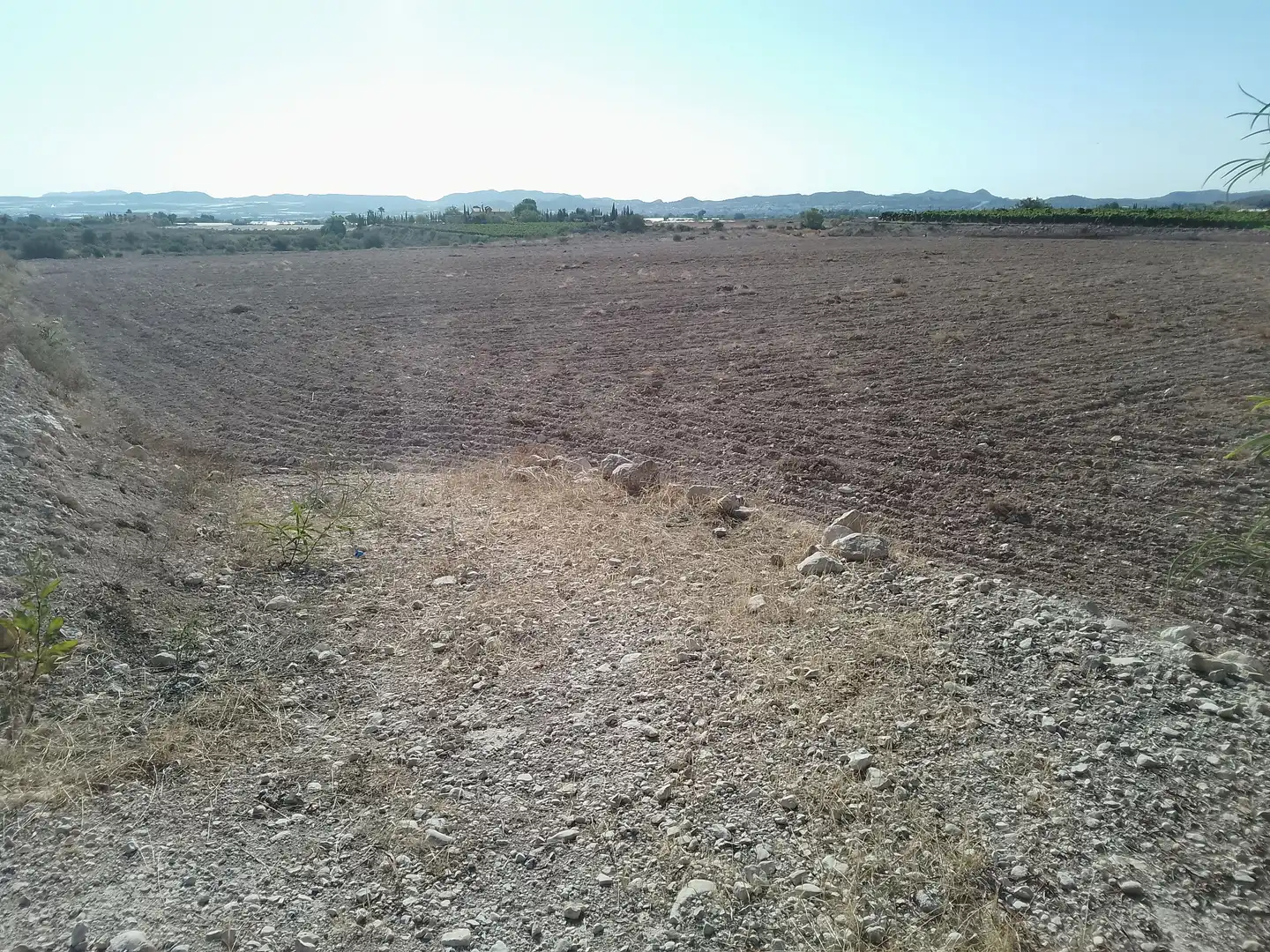 Terrain rustique à vendre à Novelda, imagen 5