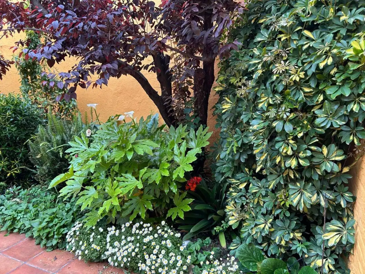 Jardí de Casa o xalet en venda en Terrassa amb Aire condicionat, Calefacció i Jardí privat