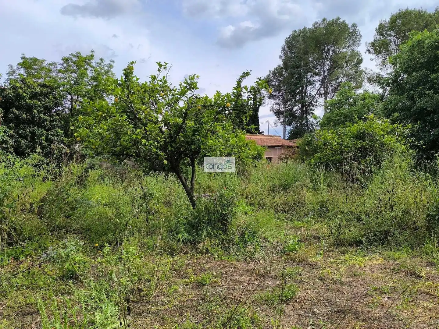 Chalet con piscina en venta en Xàtiva, imagen 13