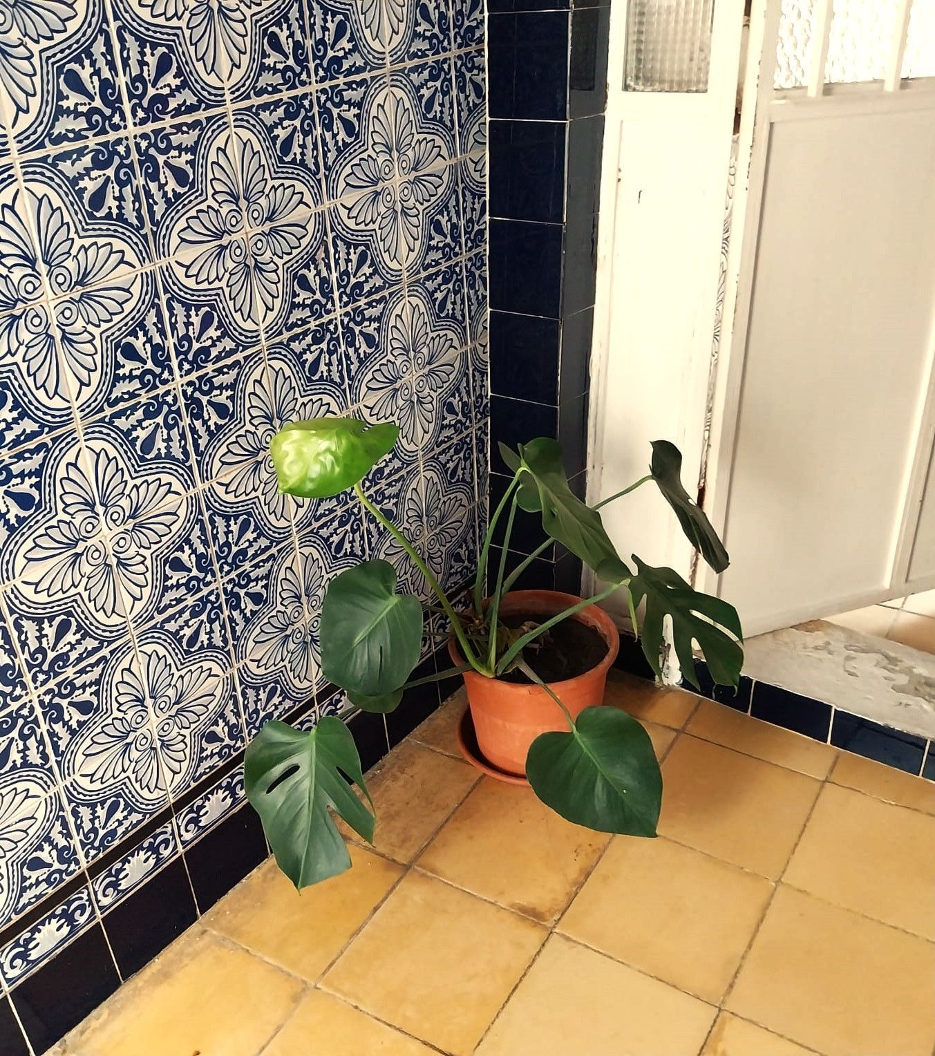 Casa o chalet en venta
