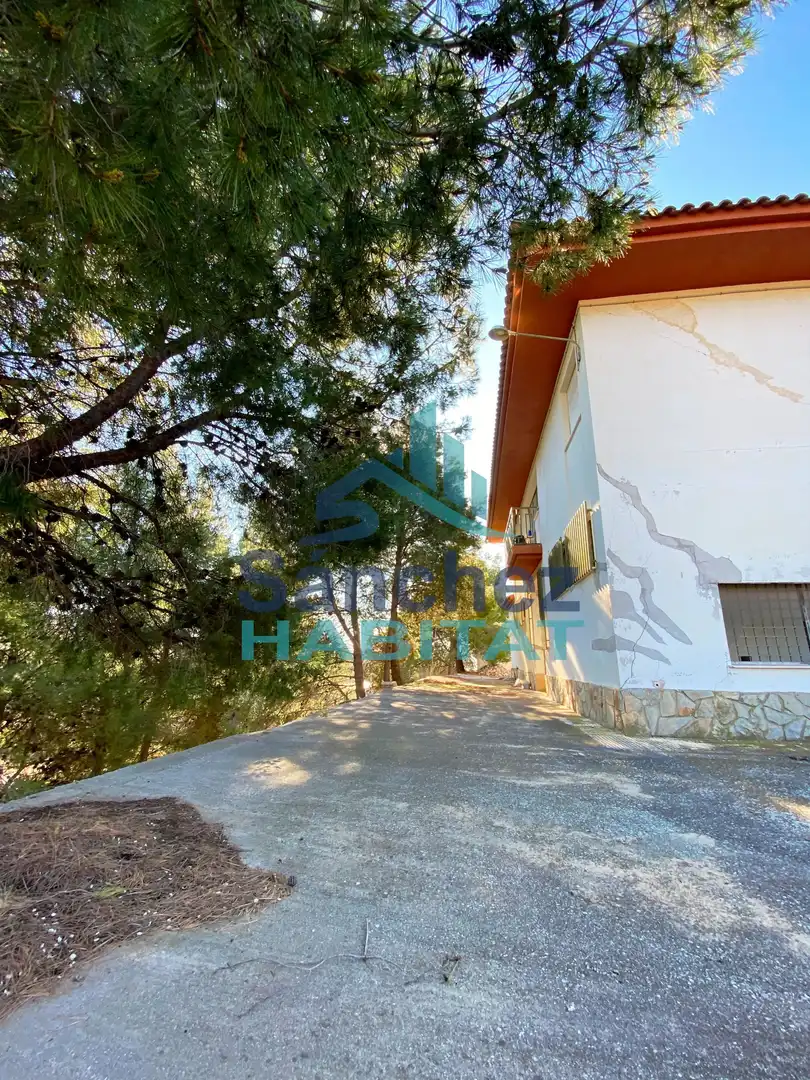 Exterior view of Industrial buildings for sale in Chelva