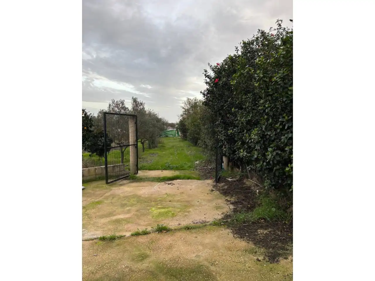 Terrenos y solares en venta en Camino Pocitos