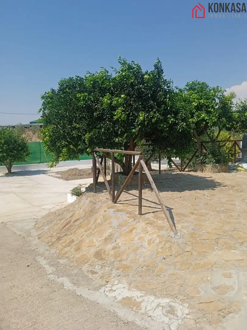 Casa en venda a Arcos de la Frontera, imagen 17