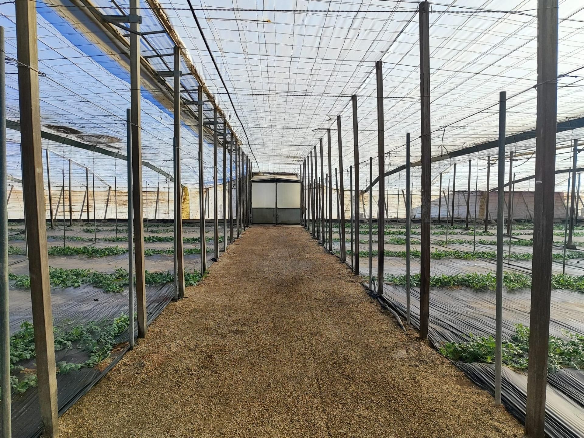 Garden of Residential for sale in Níjar