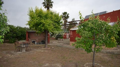 Foto 2 de Finca rústica en venta en Marmolejo, Jaén