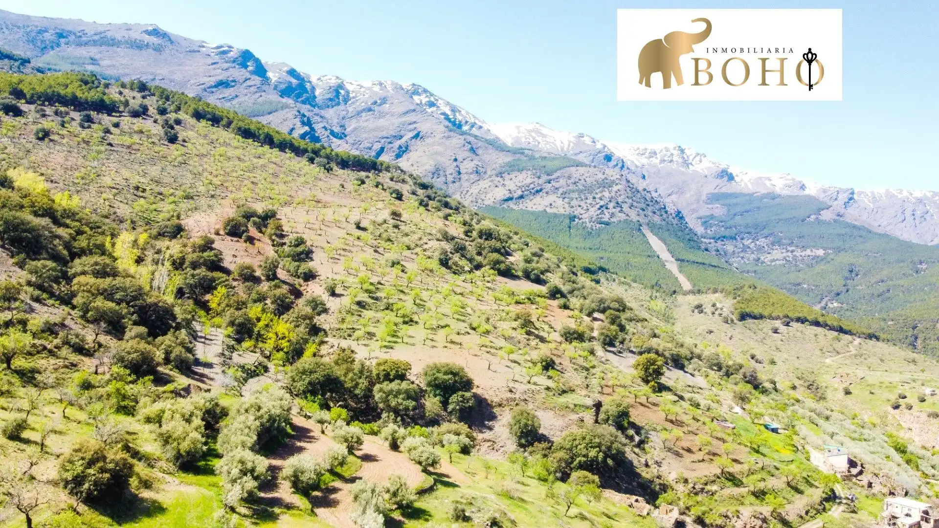 Terrain rustique à vendre à Abrucena, imagen 3