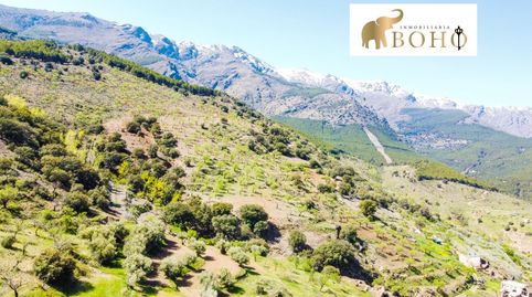 SE VENDE TERRENO CON ALMENDROS EN ABRUCENA, immagine 3