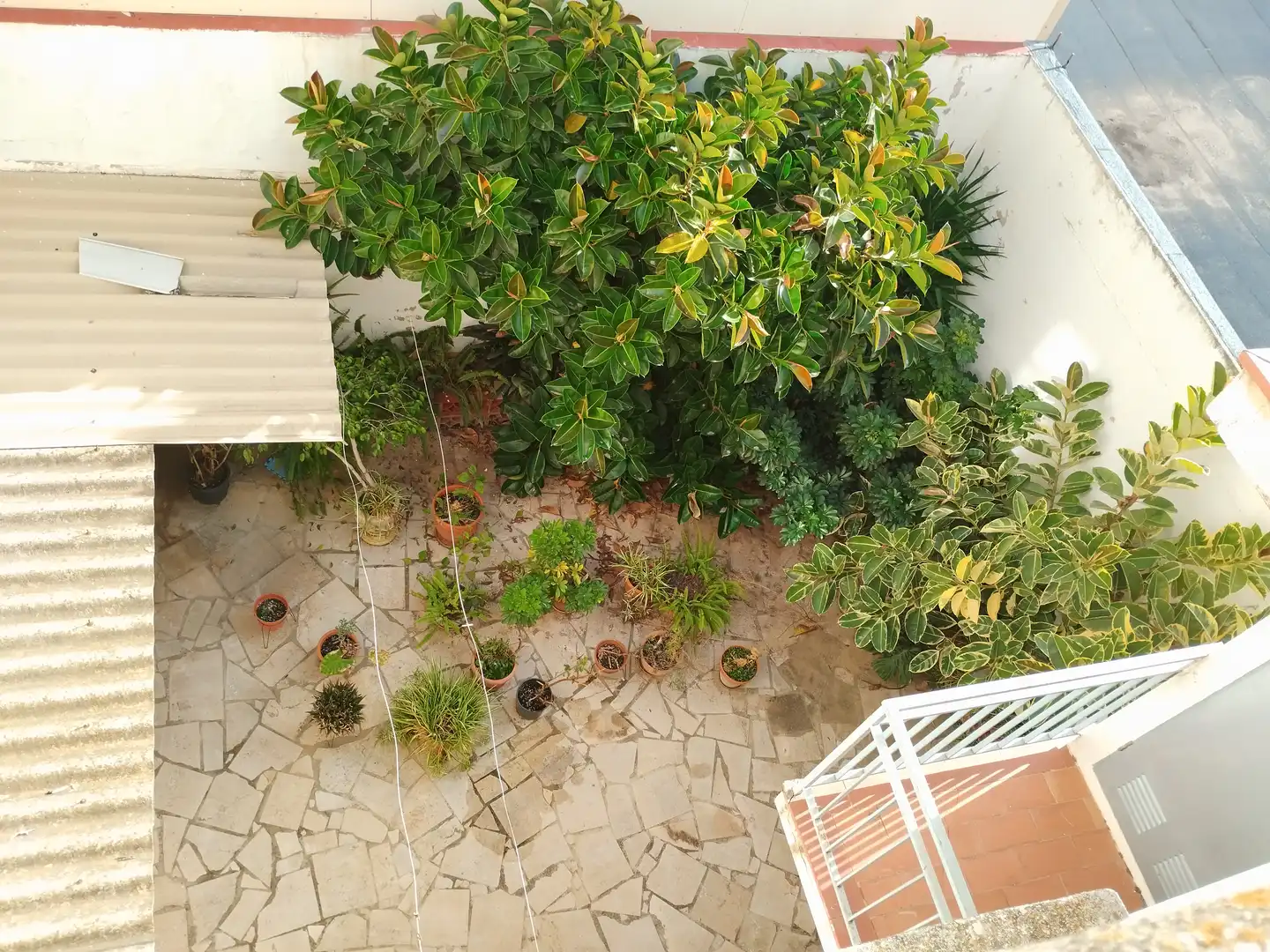 Casa o xalet en venda a Carrer Bussó, L'Ampolla
