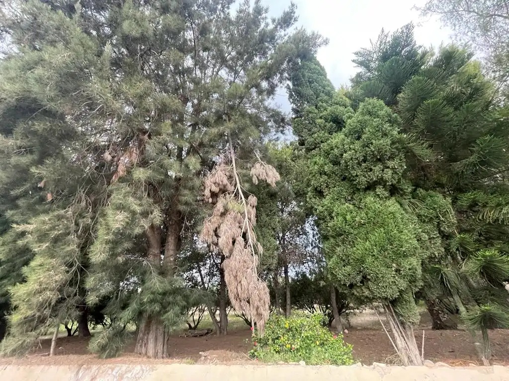 Terreno rustico in vendita a Dolores, imagen 14