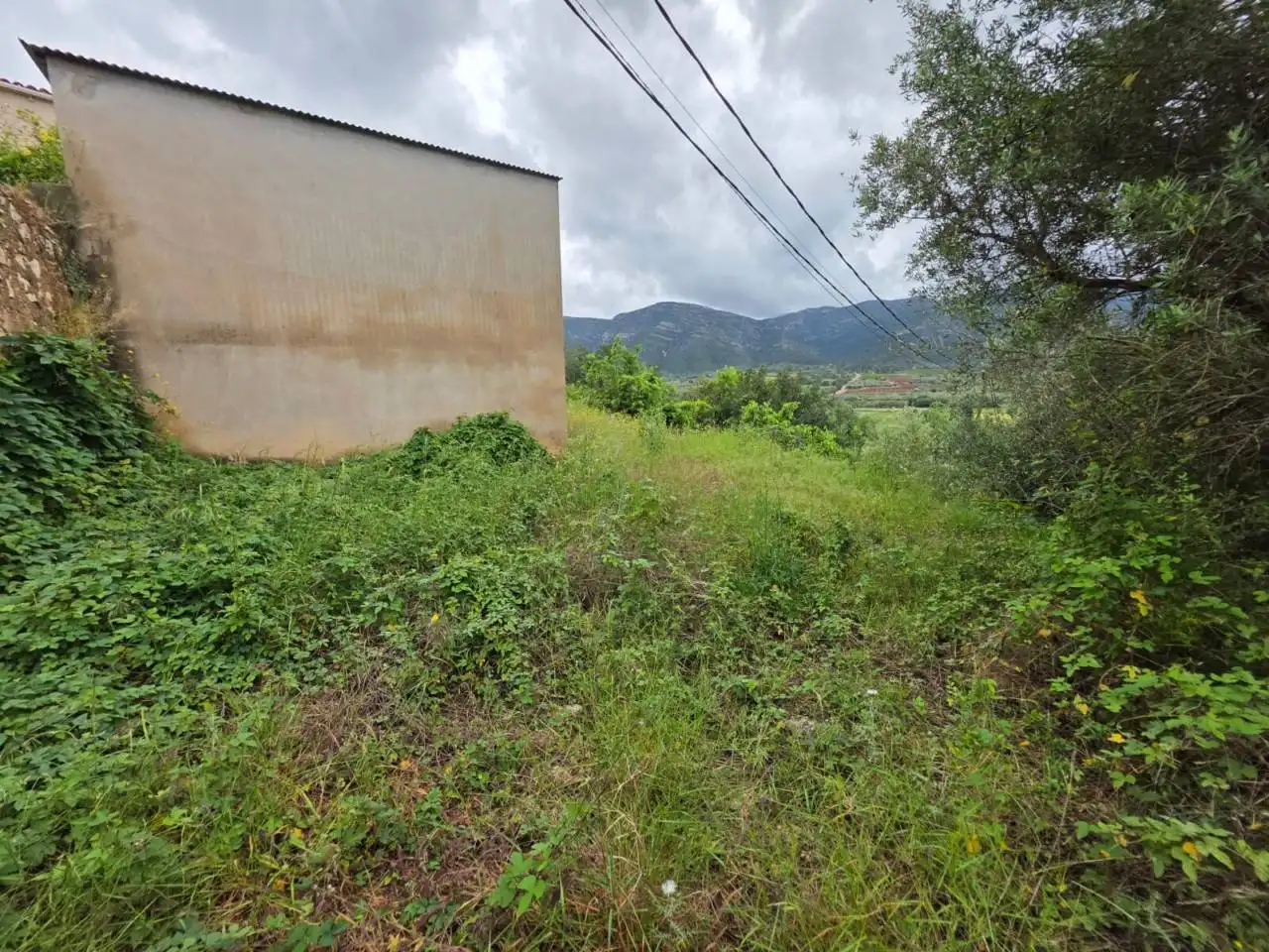 Land for sale in Ulldecona