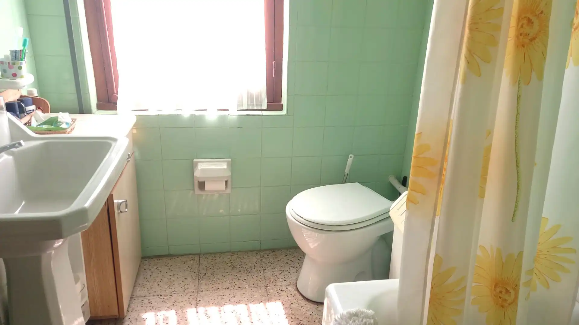 Baño de Casa o chalet en venta en Langreo con Terraza y Amueblado
