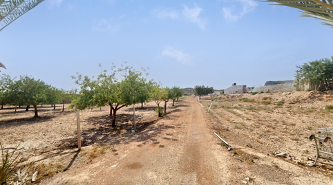 Photo 2 of Land for sale in Font Calent, Hacienda de Casas de San Juan, -1, Fontcalent, Alicante