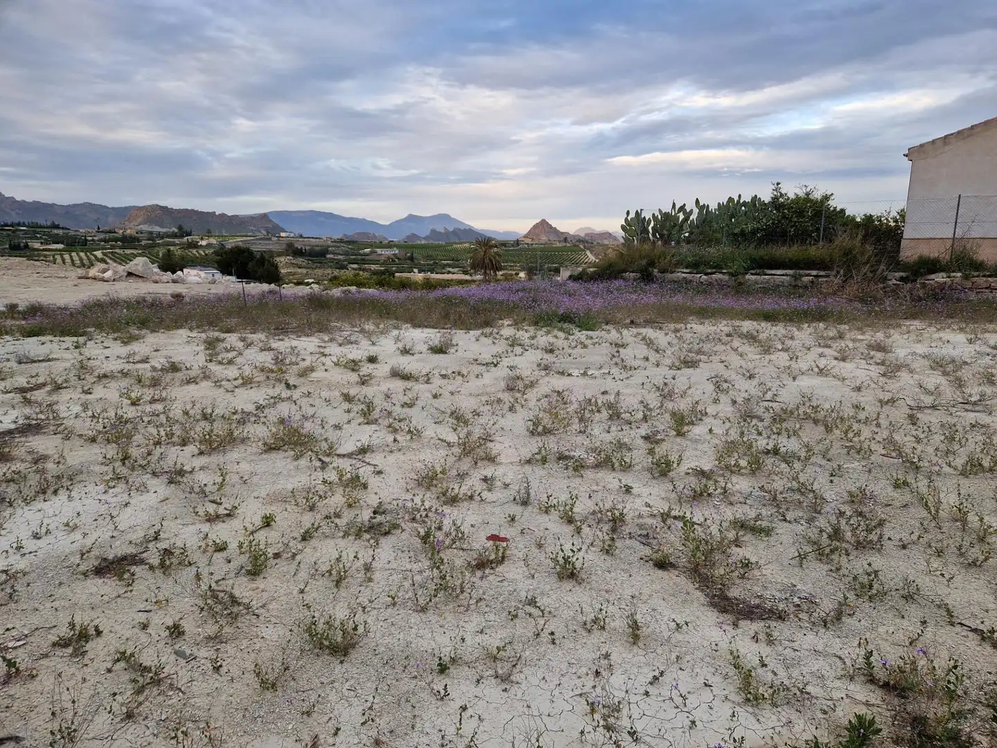 Land for sale in Villanueva del Río Segura